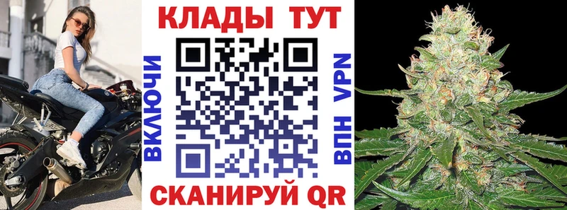 Как найти наркотики Злынка Гашиш  Лсд 25  МЕФ  Амфетамин  MDMA 