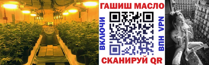 нарко площадка официальный сайт Злынка ТГК гашишное масло
