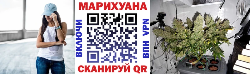 Бошки марихуана THC 21% Злынка