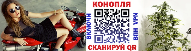 МАРИХУАНА конопля  OMG маркетплейс  Злынка 